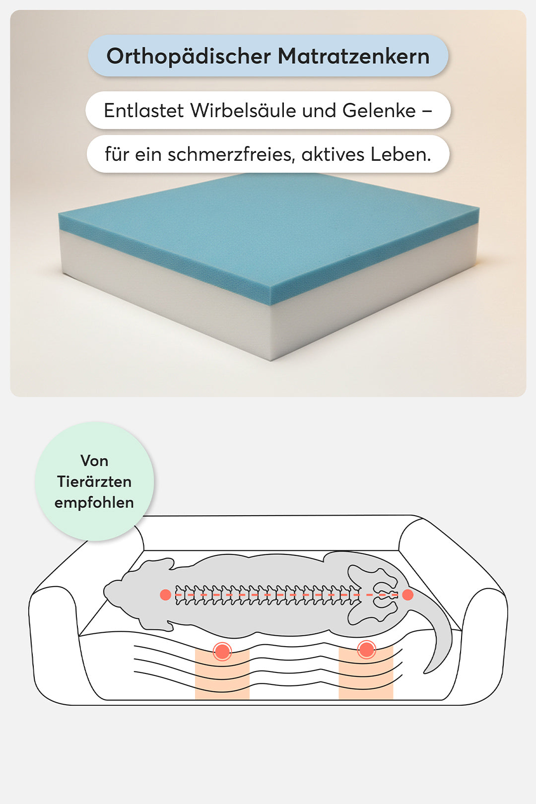 Orthopaedic Dog Bed Pure Beige